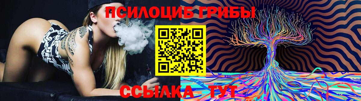 Галлюциногенные грибы GOLDEN TEACHER Чернушка